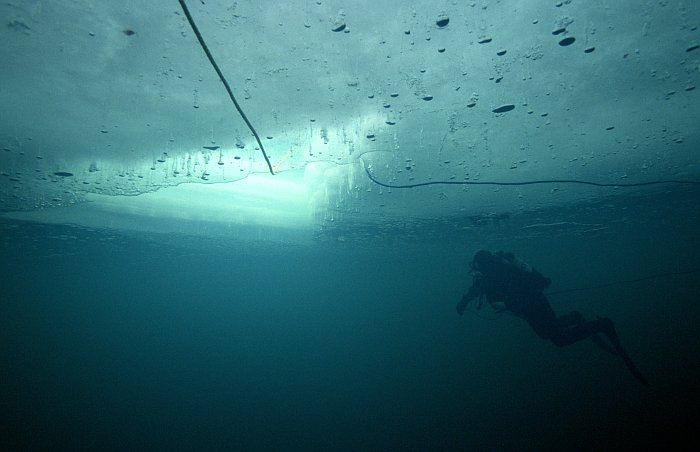 Ice diving.