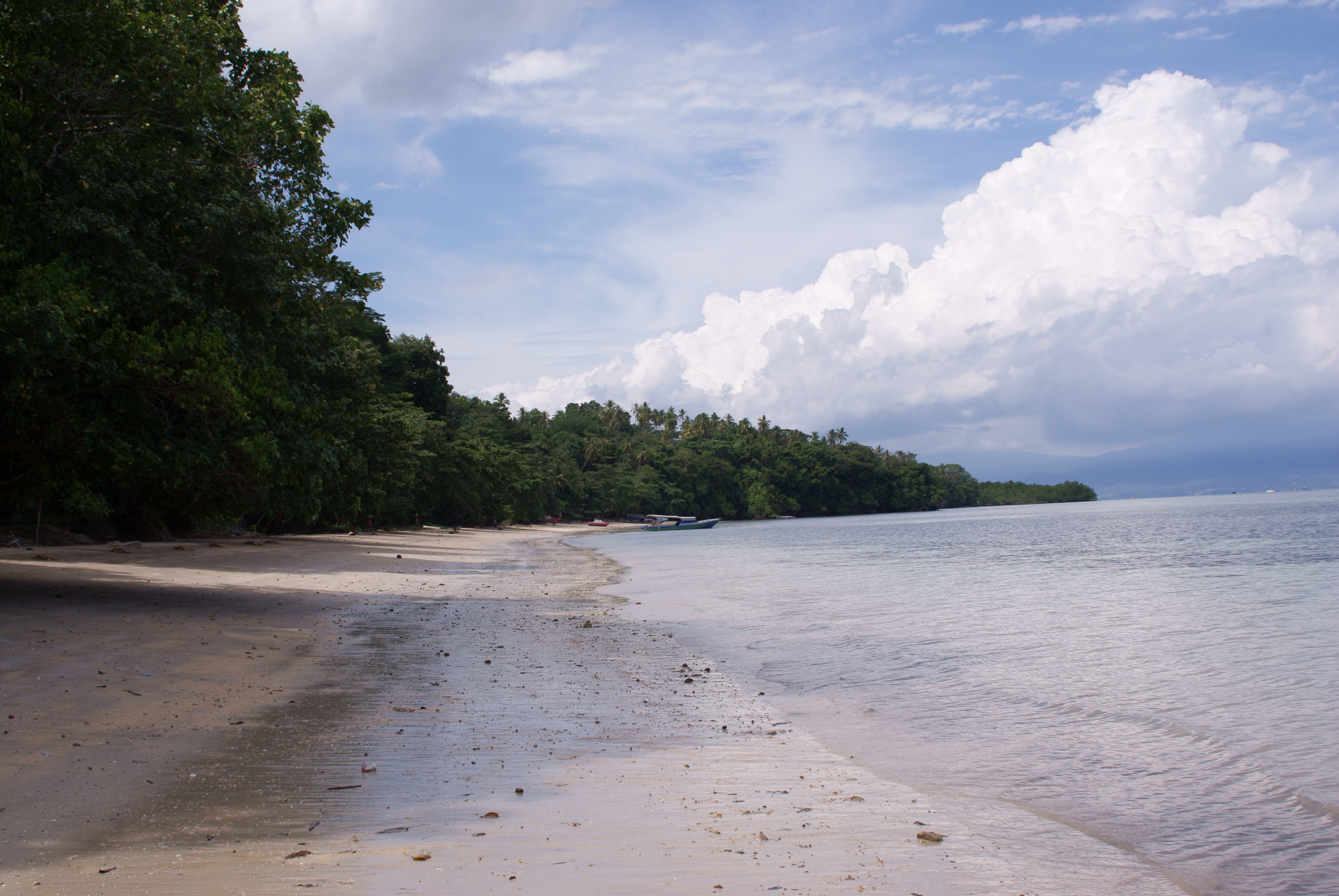 English: Bunaken Island, Manado, North Sulawes...